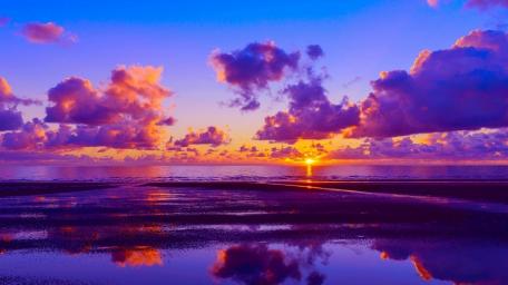 Sunset Serenity by the Shore wallpaper
