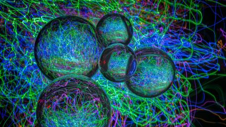 Vibrant Neon Spheres in Motion wallpaper