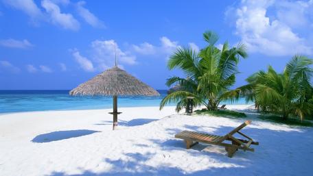 Tropical Paradise Awaits This Summer wallpaper