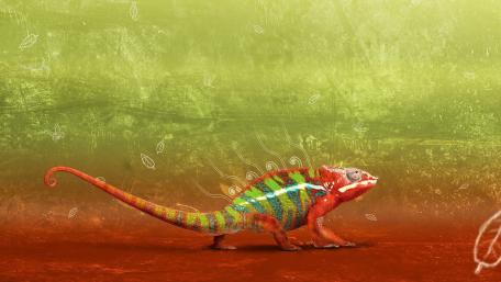 Vibrant Chameleon in Nature's Palette wallpaper
