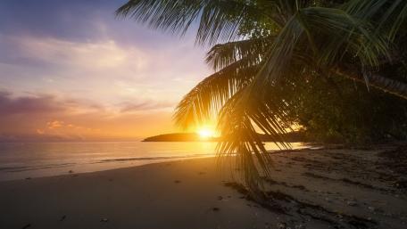Tropical Sunset by the Sea wallpaper