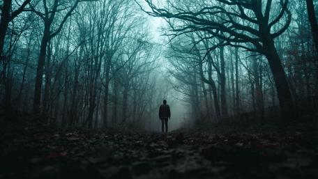Mysterious Man in a Foggy Forest wallpaper