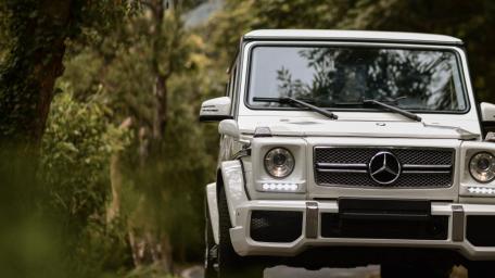 Sleek Mercedes-Benz G-Class in Nature's Embrace wallpaper