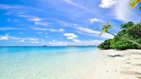 Tropical Paradise Escape wallpaper