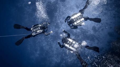 Diving into the Depths of Adventure wallpaper