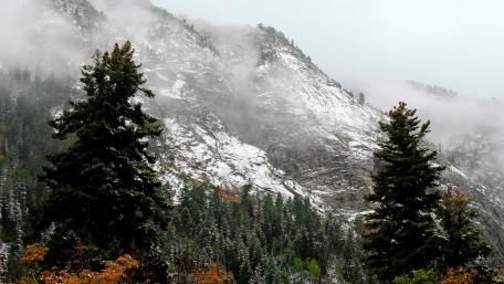 Majestic Winter Mountain Landscape with Fogging Peaks wallpaper