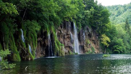 Tranquil Forest Waterfall Oasis wallpaper