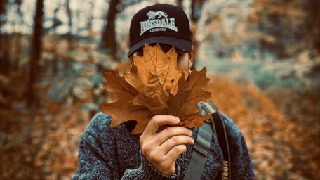 Embracing Autumn in the Forest wallpaper