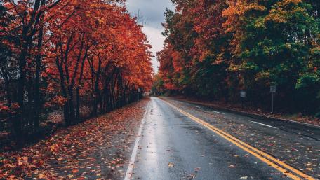 Autumn Road wallpaper