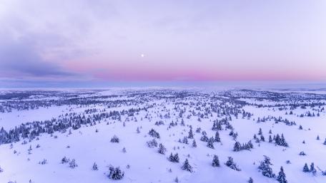 Serene Winter Landscape with Moonrise Over Snowy Plains wallpaper