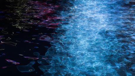 Neon Water Reflections in Darkness wallpaper