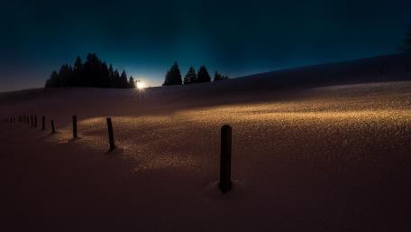 Winter Night in Moonlit Snow wallpaper