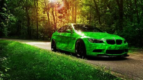 Emerald Speedster Basking in Forest Sunlight wallpaper
