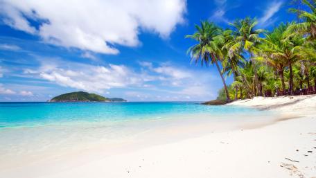 Tropical Paradise Awaits You wallpaper