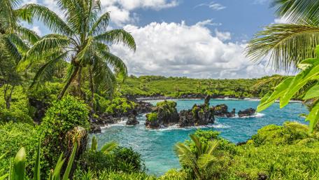 Waiʻānapanapa State Park wallpaper