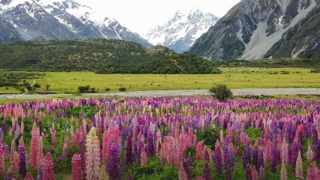 Aoraki/Mount Cook National Park wallpaper