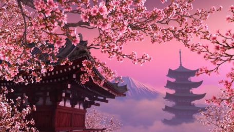 Sakura wallpaper