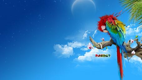Vibrant Macaw Under a Dreamy Sky wallpaper