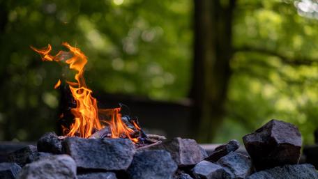 Campfire Serenity in the Woods wallpaper