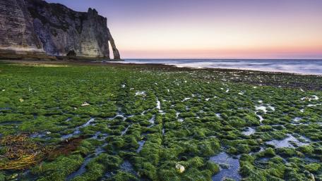 Falaise d'Aval wallpaper