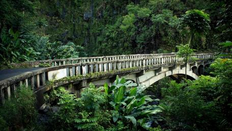Hana Highway wallpaper