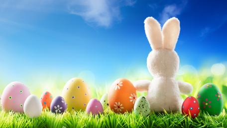 Easter Bunny's Colorful Egg Adventure wallpaper