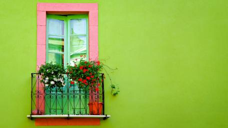 Vibrant Window with Flowers and Green Wall wallpaper