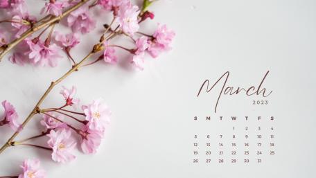Blossoming March Serenity 2023 Wallpapers wallpaper
