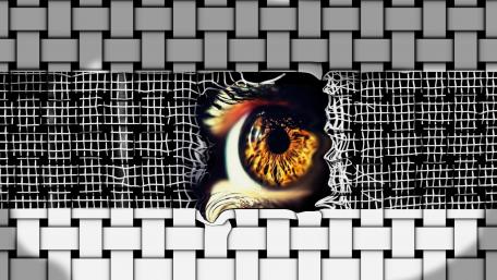 Moustic-Eye wallpaper