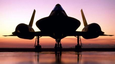 Legendary Blackbird at Sunset Silhouette wallpaper