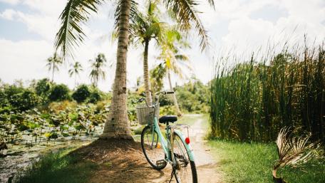 Serenity on a Summer Ride in Nature wallpaper