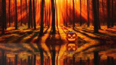 Haunting Halloween Reflections in the Woods wallpaper