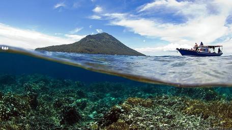Underwater Serenity and Adventure wallpaper