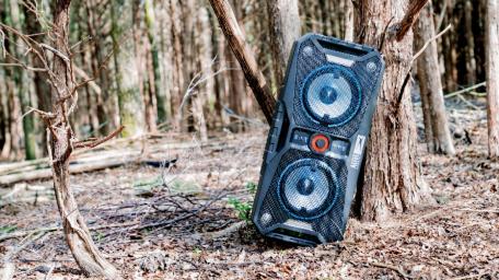 Nature's Beatbox in the Wild wallpaper