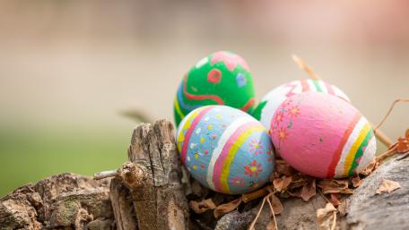 Colorful Easter Eggs on Nature's Canvas wallpaper