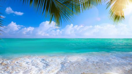 Tropical Summer Beach Bliss wallpaper
