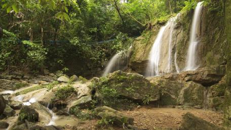 Thung Salaeng Luang National Park wallpaper