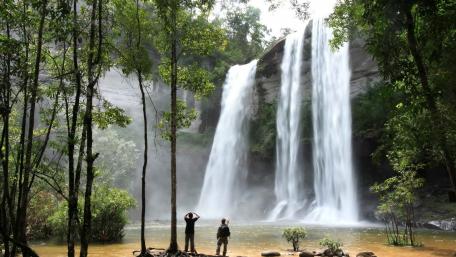 Khao Yai National Park wallpaper