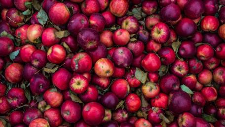 apples wallpaper