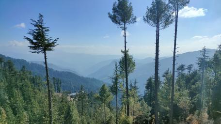 Shimla wallpaper