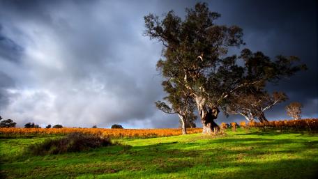 Majestic Solitude Under Stormy Skies wallpaper