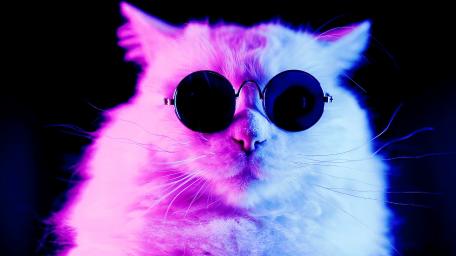 Neon cat wallpaper