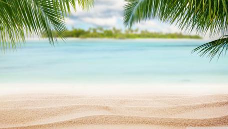 Tropical Beach Bliss with Palm Leaves wallpaper