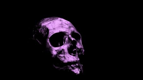 Purple Skeleton wallpaper
