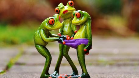 The frog investigates the underpants wallpaper