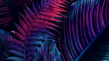 Neon leaves wallpaper