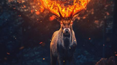 Majestic Fiery-Horned Deer in Night Forest wallpaper