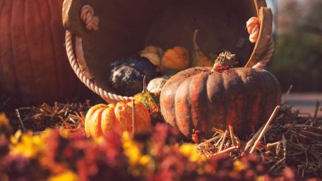 Autumn Harvest Delight in Nature's Splendor wallpaper