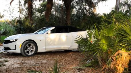 Sleek White Cabrio Amidst Lush Greenery wallpaper