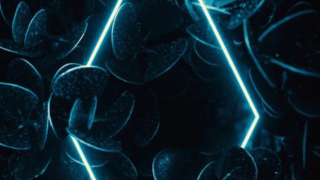 Neon Fractal Glow in Abstract Dimensions wallpaper